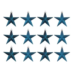 12 Blaue Weihnachtssterne In Praktischer Box