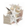 12 Christbaumschmuck Sterne Home-Sweet-Home-Mix, Kunststoff, 10 Cm