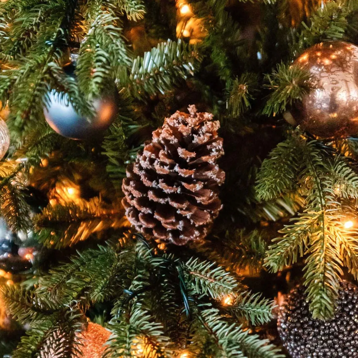 Anhänger Tannenzapfen Natürlich Mit Kunstschnee, 12 Cm