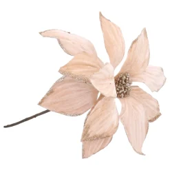 Champagnerfarbene Weihnachtsrose Mit Glitzer