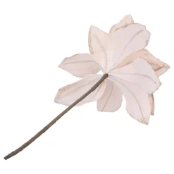 Champagnerfarbene Weihnachtsrose Mit Glitzer