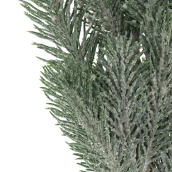 Grüne Kiefernzweige Im Frost-Look