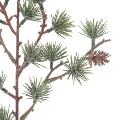 Grüner Kiefernzweig Mit Tannenzapfen Im Frost-Look