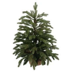 Kompakter 'Djill' Kunstweihnachtsbaum