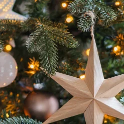 Papier-Weihnachtsstern Mit Realistischer Holzmaserung