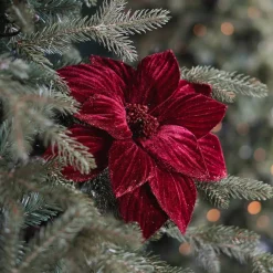 Rote Weihnachtsrose Mit Glitzerblättern