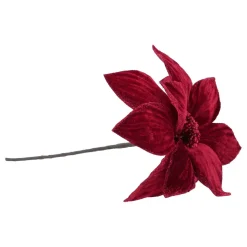 Rote Weihnachtsrose Mit Glitzerblättern