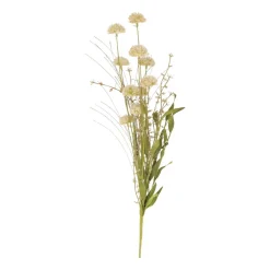 Trockenblume Mit Bommeln, Grün, 53 Cm