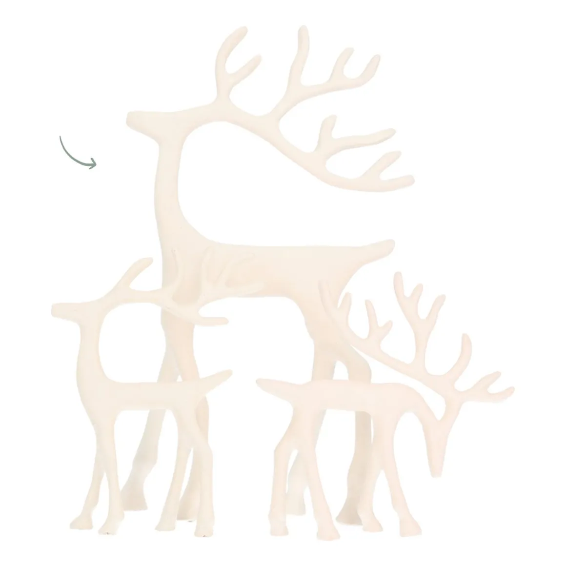 Weißes Rentier Mit Elegantem Geweih