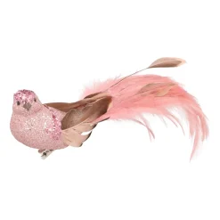 Zartrosa Kolibri Auf Klammer Mit Langem Schwanz