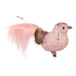 Zartrosa Kolibri Auf Klammer Mit Langem Schwanz