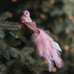 Zartrosa Kolibri Auf Klammer Mit Langem Schwanz